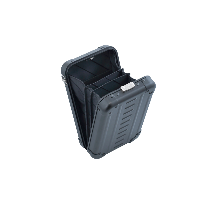 Aleon Vertical Small Personal Cross Body Case
