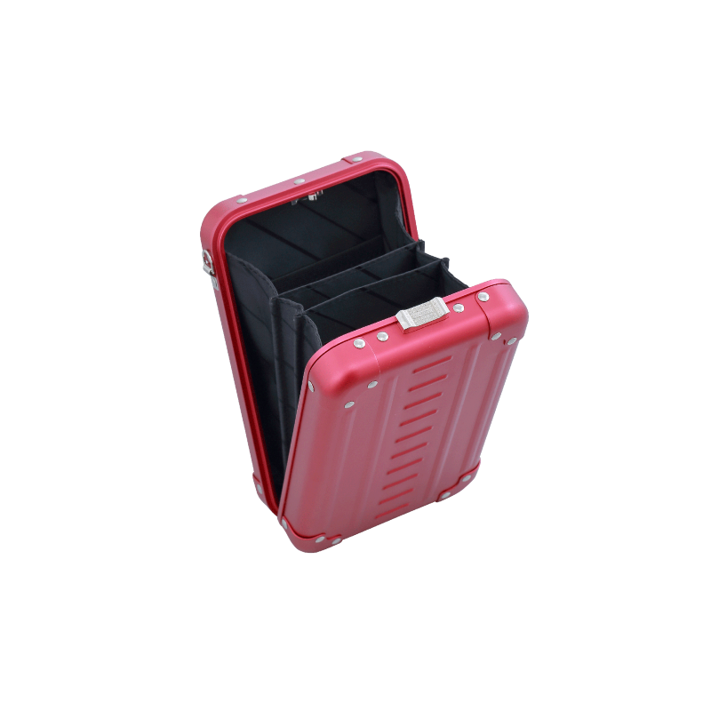 Aleon Vertical Small Personal Cross Body Case