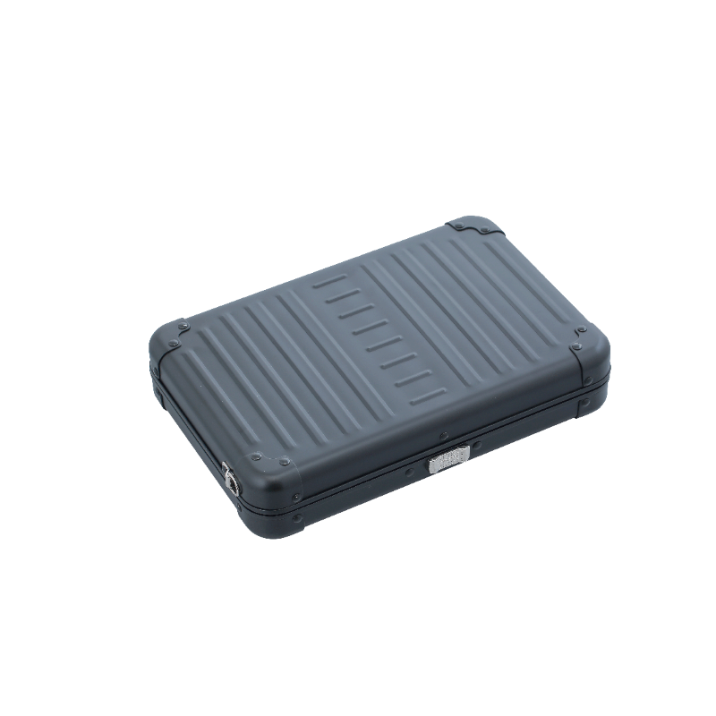 Aleon Large Personal Cross Body Case