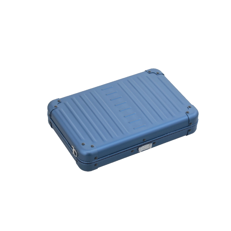 Aleon Large Personal Cross Body Case